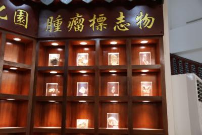 中医教你预防肺癌的方法